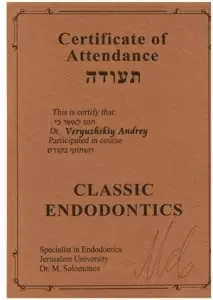 Верюжский Андрей Александрович