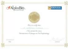 Лобашова Светлана Александровна