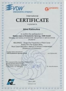 Калимулина Алина Николаевна