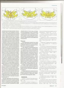 Исаев Артем Александрович