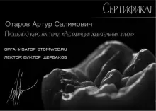 Отаров Артур Салимович