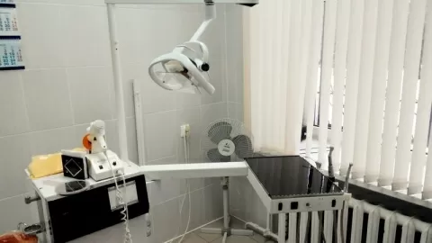 ДентаБиоЛюкс