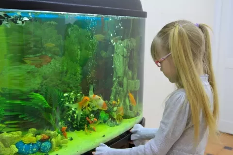 Стоматология на Мельничной