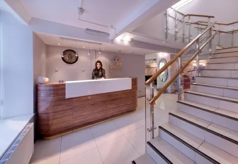 Французский стандарт