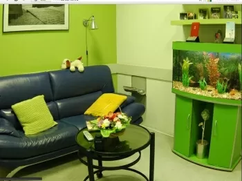 Дентал Фокс