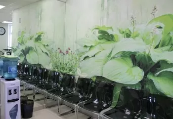 Академия здоровья