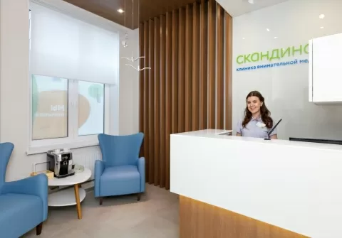 Медицинский центр Скандинавия Отделение Парнас