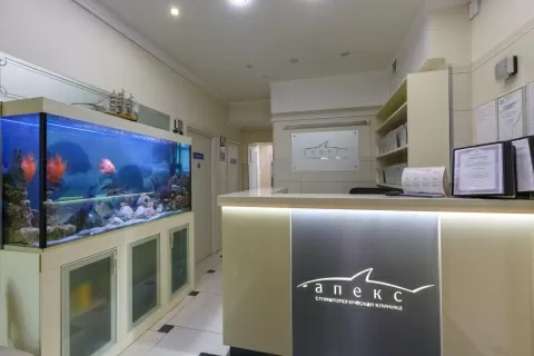Стоматологическая клиника Апекс