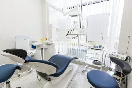 Белый медведь