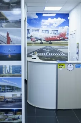 ПулковоСтом