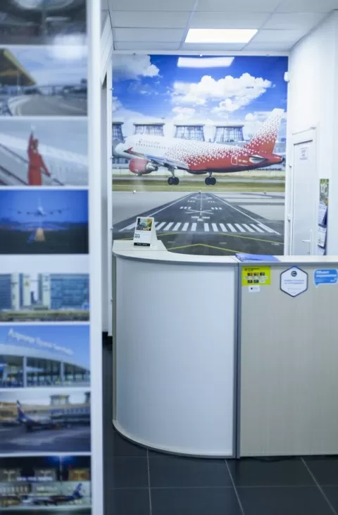 ПулковоСтом