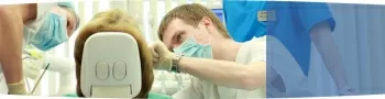 Наудент