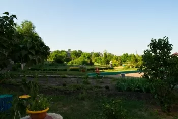 Психиатрическая больница