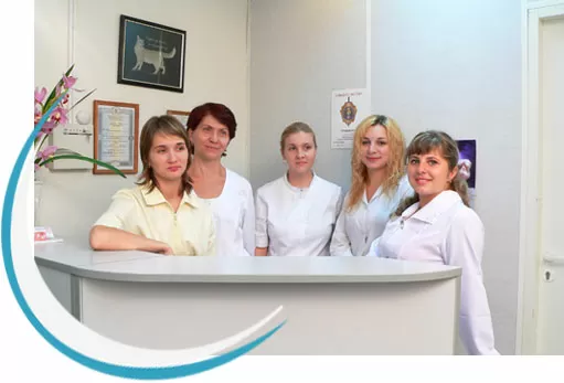 доктор дент муром телефон