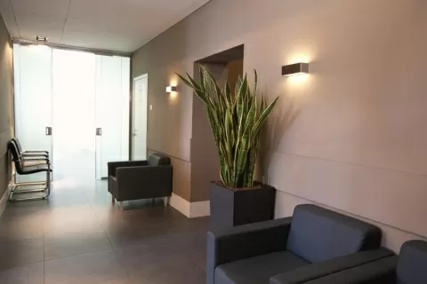 Клиника Функциональных Нарушений «ПУЛЬС»