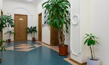 МЦ Мир Здоровья