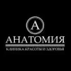 Анатомия