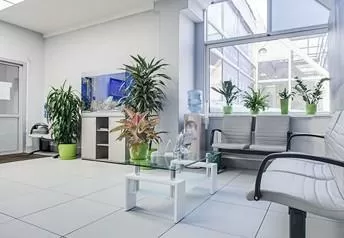 Future Smile (Фьюти Смайл)