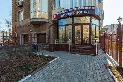 Профессионал