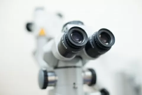 Фокус Фэмили