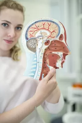 Фокус Фэмили