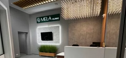 МЭЛА