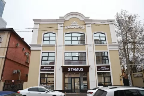 Стамус на Гимназической