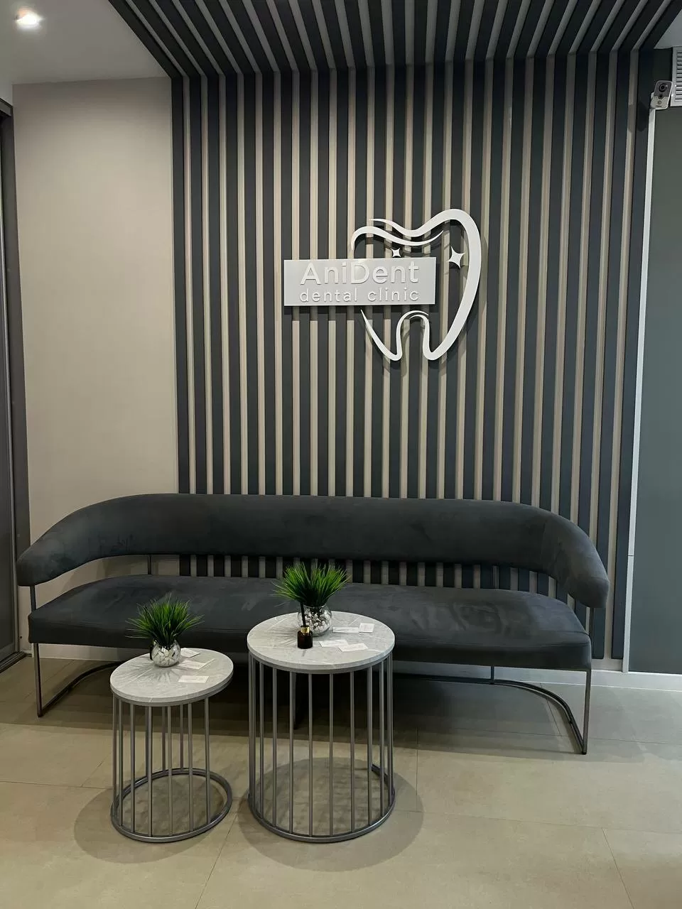 АниДент (AniDent)