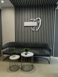 АниДент (AniDent)