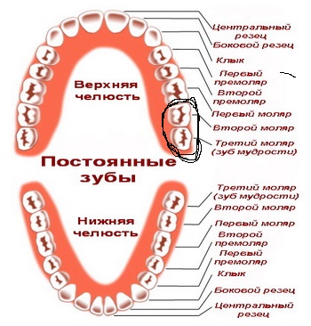 Удалили зуб картинки